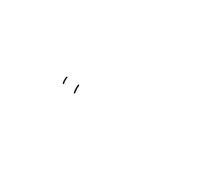 Wingull silhouette